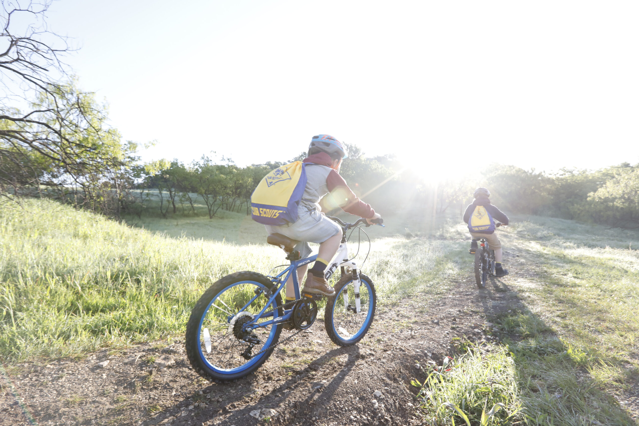 Riding bicycles in the park