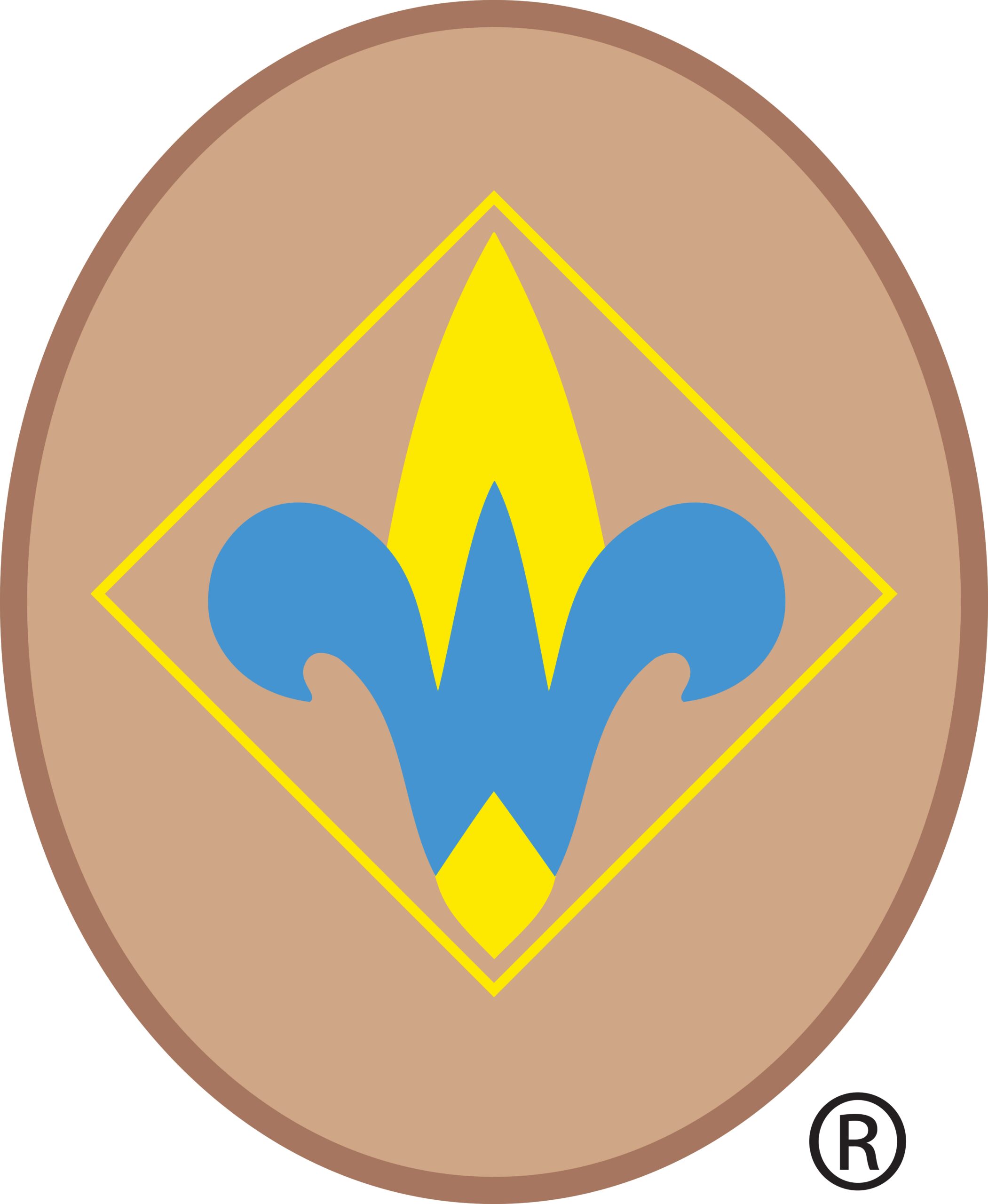 Insignia